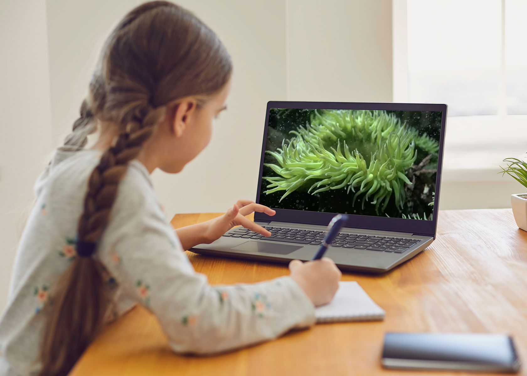 A young girl looks at a laptop screen showing an image of a sea anemone