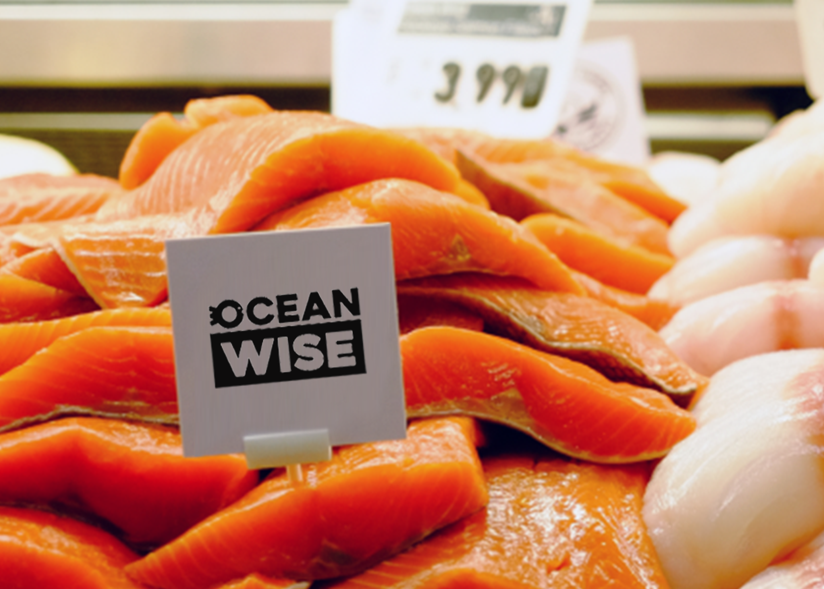 Pieces of salmon for sale in a shop with an Ocean Wise sign