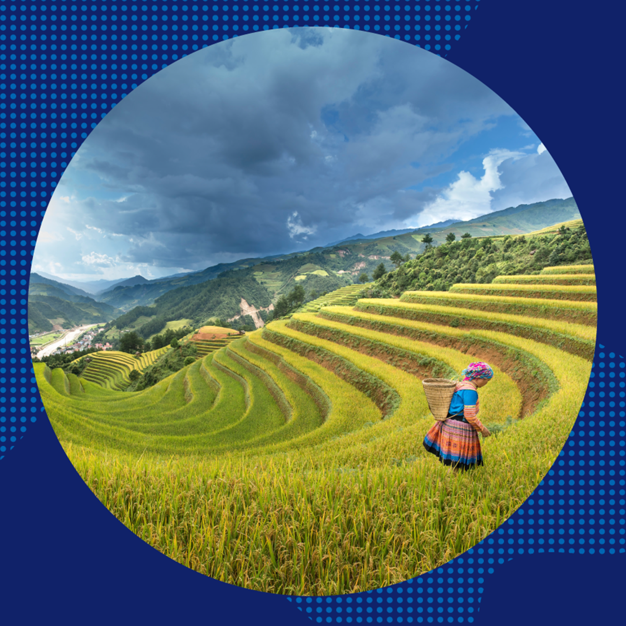 A woman works in a terraced field