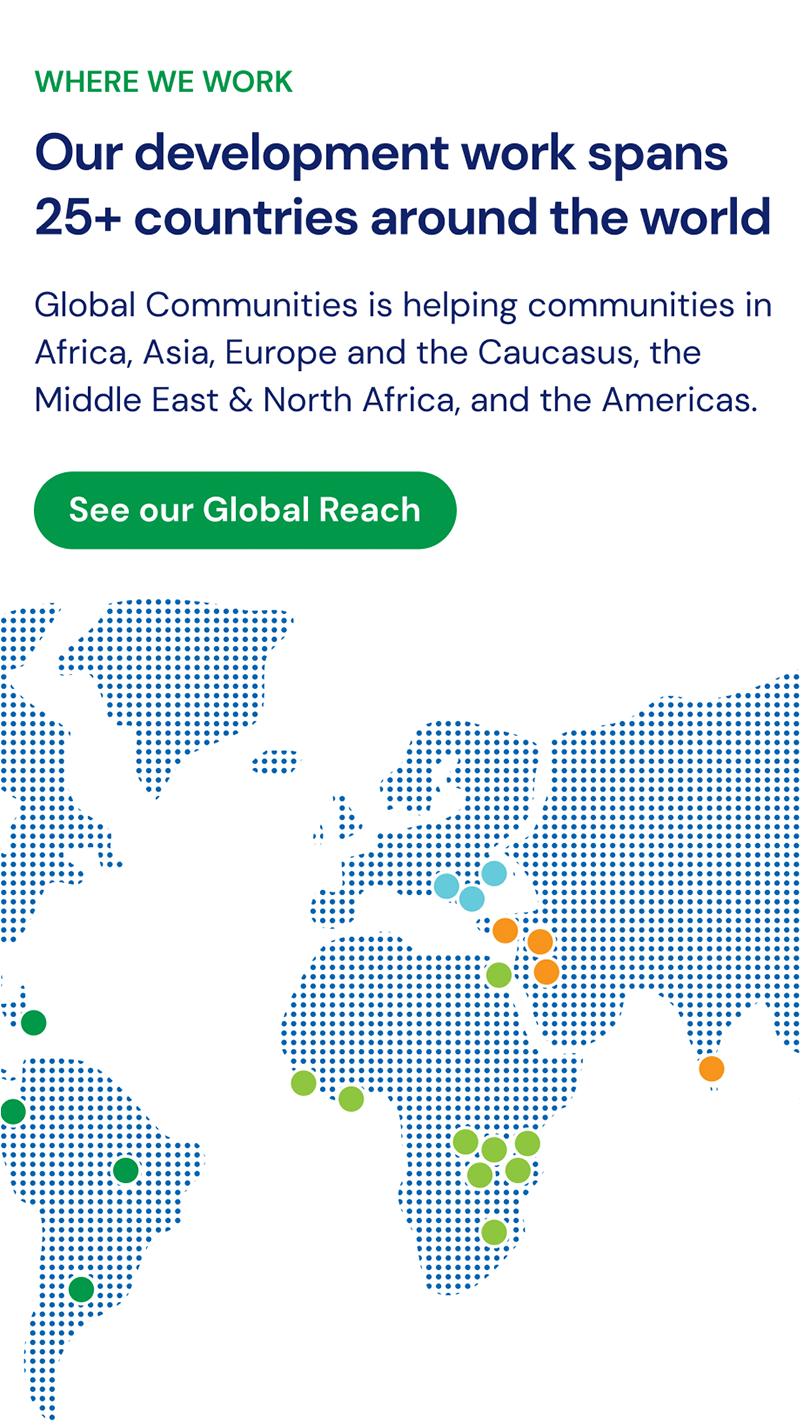 Global Communities infographic