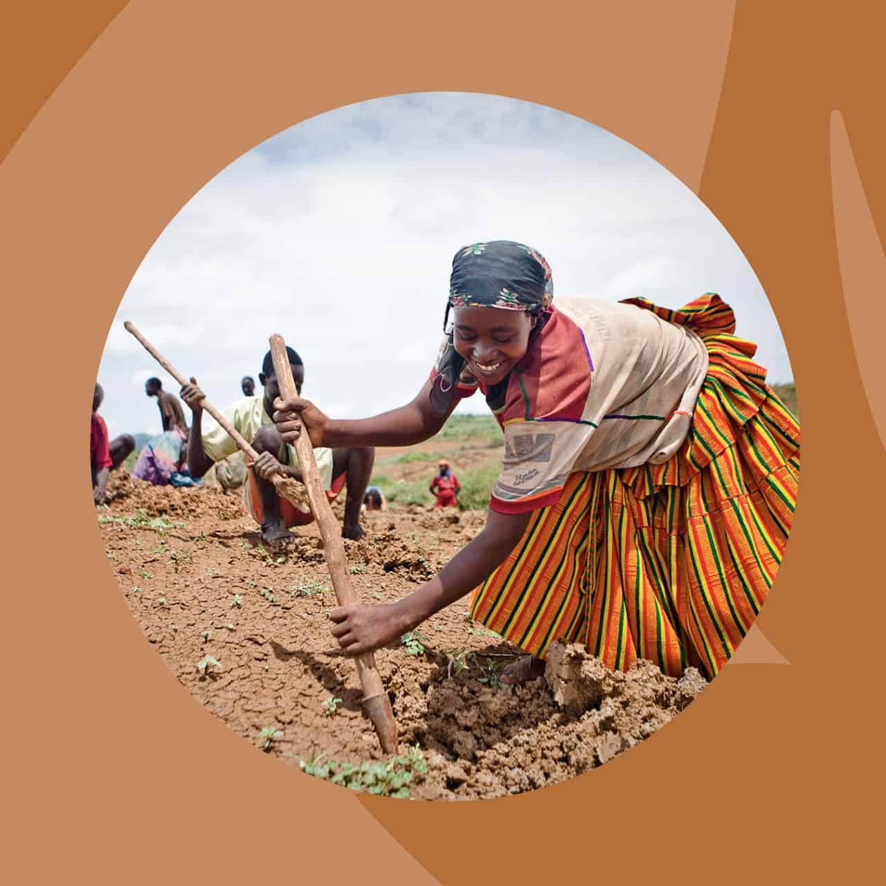 woman planting a tree