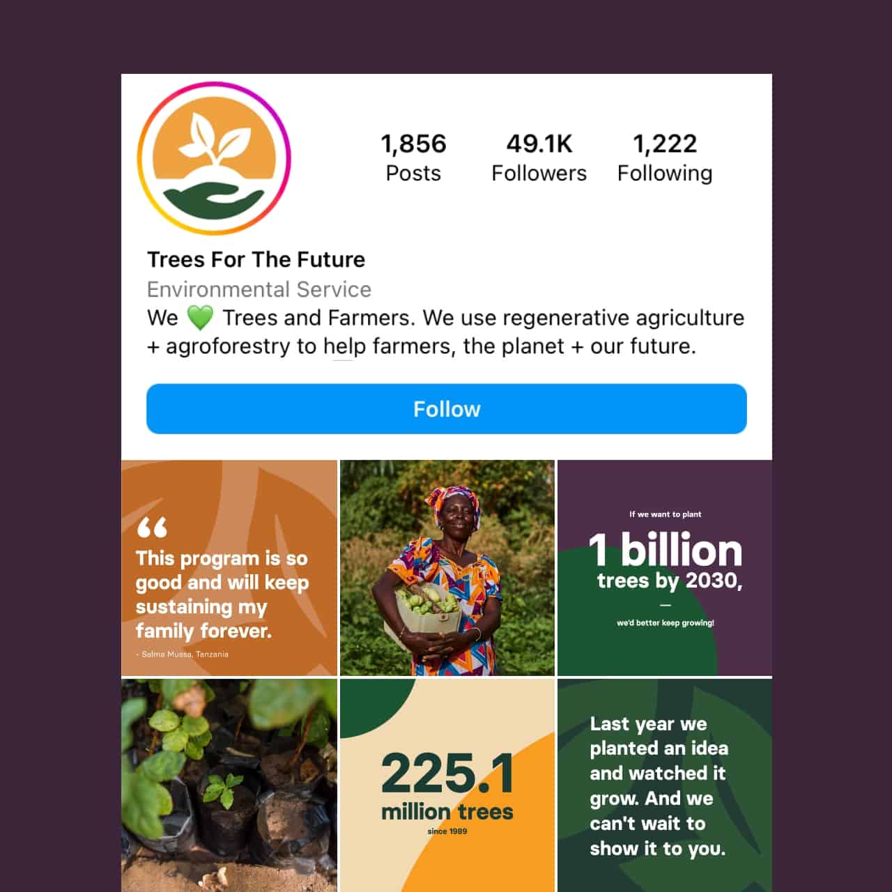 instagram profile of trees for the future