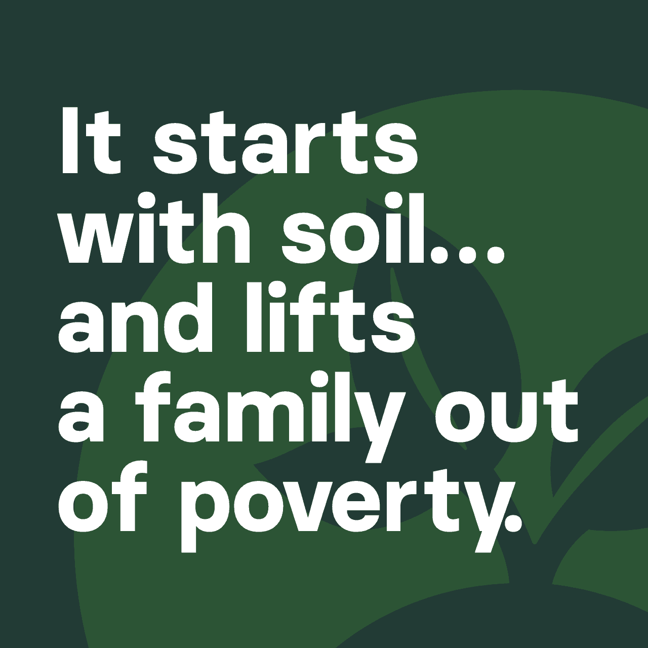 quote - it starts with soil...and lifts a family out of poverty