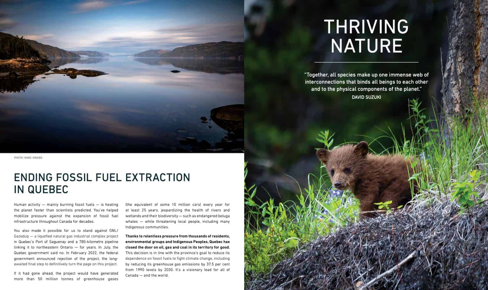 screenshot of David Suzuki Foundation's annual report