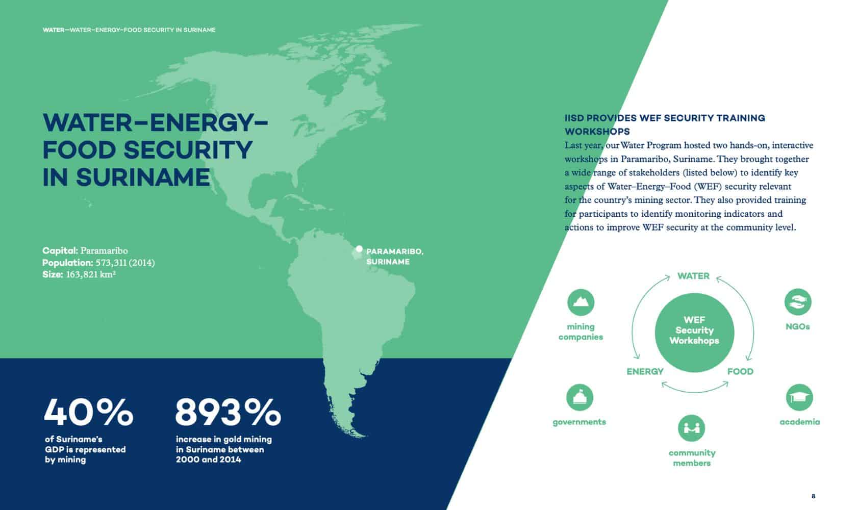 screenshot of IISD annual report