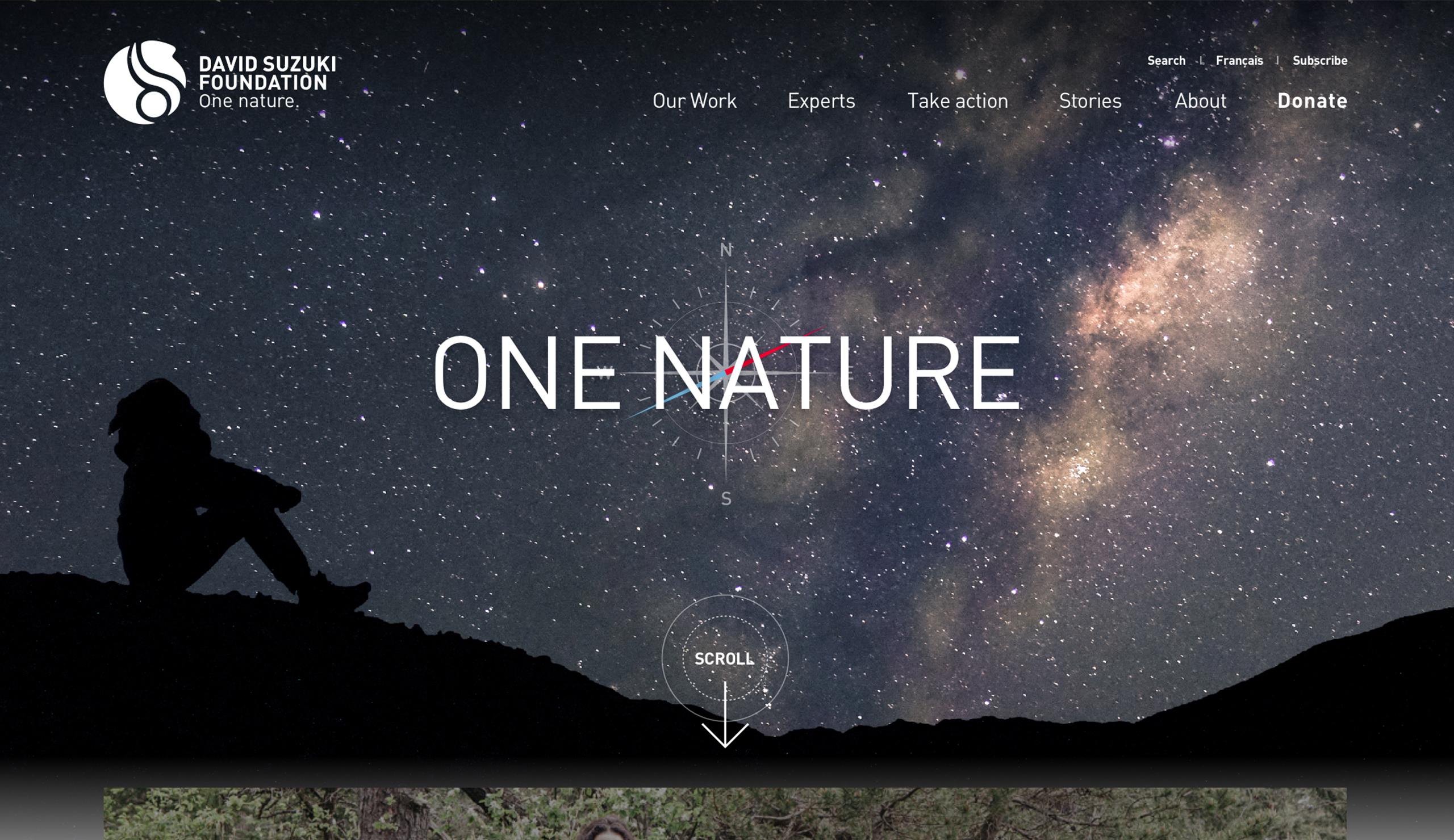 david suzuki foundation homepage